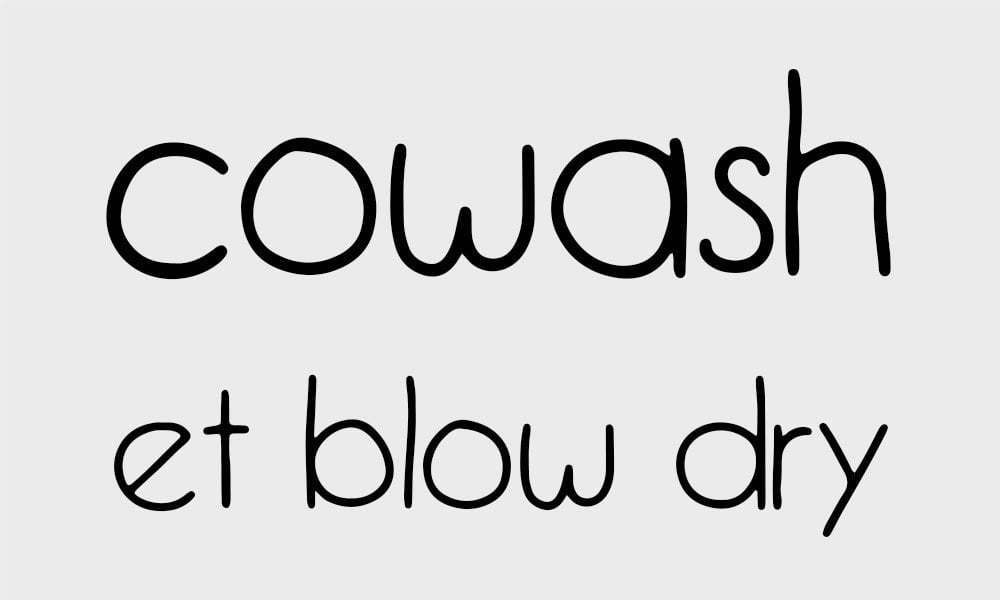 co wash blow dry