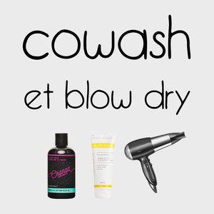 co wash blow dry