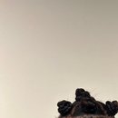 bantu knots
