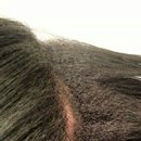 transition capillaire